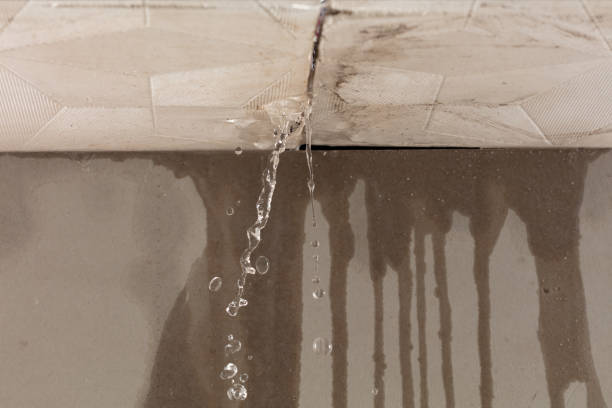Professional Structural Drying technician working in Falmouth, VA